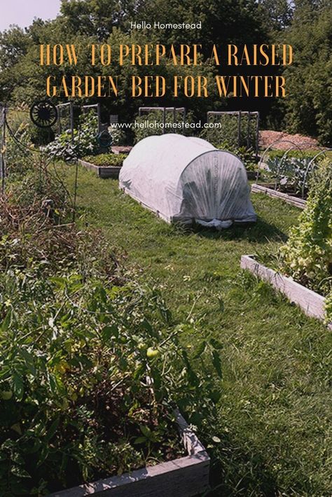 How To Winterize Raised Garden Beds, Garden Winter Prep, Above Ground Garden, Garden Preparation, Vegetable Garden Beds, Garden Prepping, Winter Vegetables Gardening, Winter Crops, Metal Raised Garden Beds