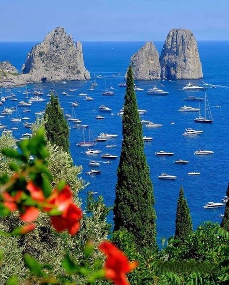 Capri Italia, Capri Island, Landscape Beautiful, Capri Italy, Beautiful Dream, European Summer, Bellini, Travel And Tourism, Luxury Vacation