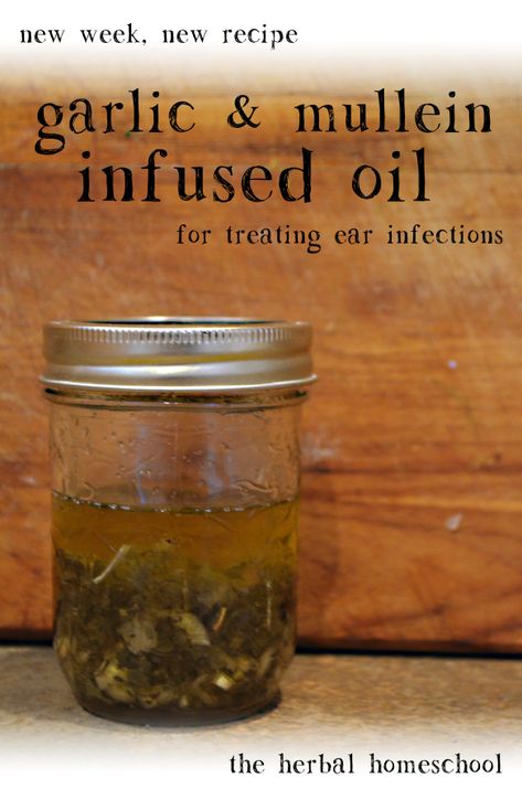 a recipe for making garlic & mullein oil to treat ear infections Garlic Ear Drops, Garlic Oil For Ears, Mullein Oil, Ear Oil, Herbal Vinegar, Herbal Medicine Recipes, Herbal Remedies Recipes, Ear Infections, Infused Oil