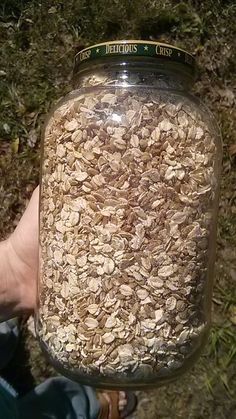 Chicken Feed Recipe, Organic Chicken Feed, Urban Chicken Farming, Easy Chicken Coop, Winter Wheat, Portable Chicken Coop, Chicken Raising, Chicken Tractors, Chicken Pen