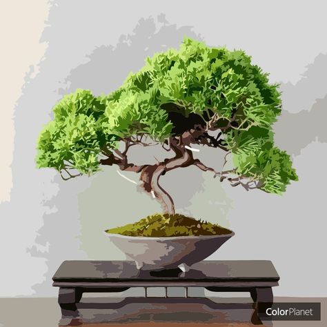 Coloring the bonsai tree with games oil colorplanet Easy Bonsai, Bonsai Tree Painting, Tree Tattoo Drawings, Silhouette Paint, Painting Silhouette, Purple Flowering Tree, Bonsai Tree Tattoos, Bonsai Trees For Sale, Little Paintings