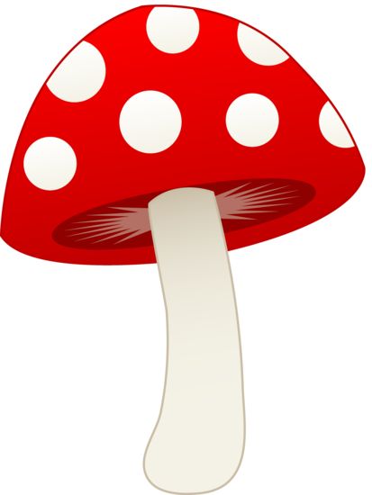 Spotted Mushroom Alice In Wonderland Mushroom, Mushroom Clipart, Red And White Mushroom, Mushroom Images, Cartoon Mushroom, Cat Template, Mushroom Wallpaper, Mushroom Pictures, Clip Art Free