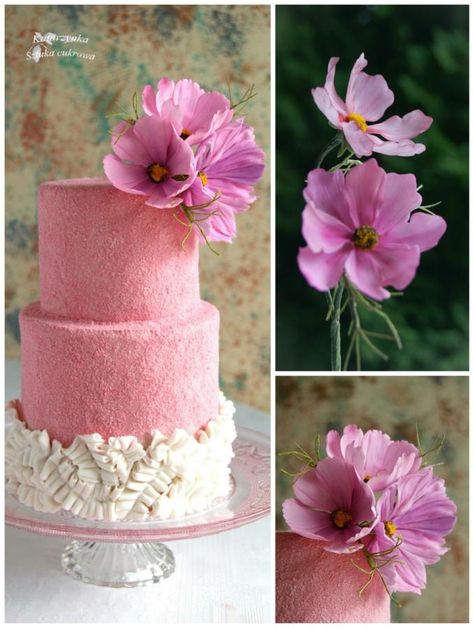 Cosmos Cake, Cosmos Garden, Interesting Cakes, Bakery Art, Garden Cake, Art Cakes, Flower Cakes, Garden Cakes, Cool Cake Designs