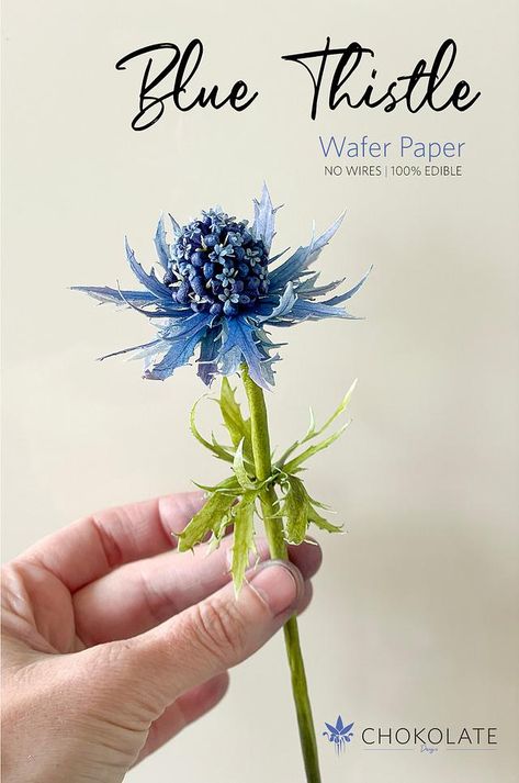 Crepe Paper Filler Flowers, Blue Crepe Paper Flowers, Paper Flower Arrangements, Wafer Paper Flowers, Flower Resin Jewelry, Paper Flower Patterns, Paper Flower Art, Fleurs Diy, Paper Plants