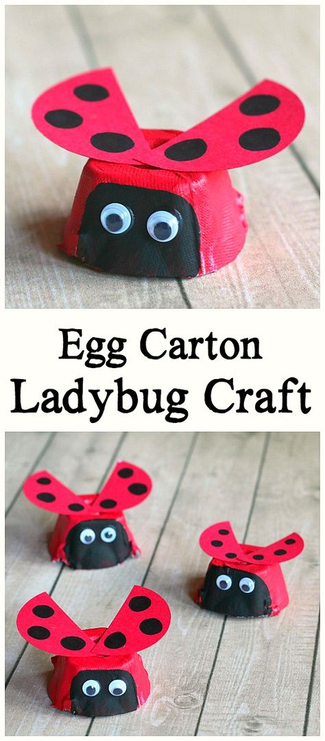 Egg Carton Ladybug Craft for Kids: Easy ladybug art project for preschool and kindergarten. Makes a great addition to a unit on insects or bugs or an extension activity to The Grouchy Ladybug by Eric Carle! Fun activity for spring, summer, or Earth Day! ~ BuggyandBuddy.com Project For Preschool, Craft For Kids Easy, Ladybug Craft, Ladybug Crafts, Ladybug Art, Bug Crafts, Egg Carton Crafts, Easy Art Projects, Eric Carle