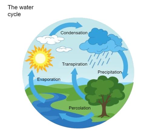 Water Cycle Diagram What Is Water Cycle, Water Cycle Process, Water Cycle Poster, Water Cycle Project, Water Cycle Diagram, Hydrological Cycle, Cycle Drawing, Nutrient Cycle, How To Make Water