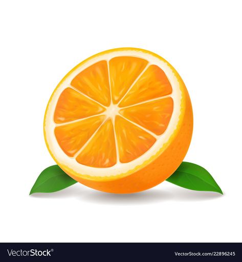 Fruit Clipart, Orange Icons:), Fruits Drawing, Food Clipart, Fruits Images, Fruit Illustration, Fruit Painting, Vector Flowers, Cartoon Background