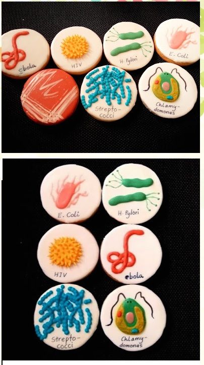 Biology Themed Baking, Biology Themed Cakes, Microbiology Project Ideas, Anatomy Cupcakes, Microbiology Cookies, Biology Cake Ideas, Microbiology Cake, Biology Cookies, Biology Party