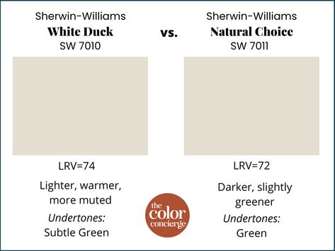 Sw Natural Choice Exterior, Sw Natural Choice, Sw White Duck, Light Greige Paint, Natural Choice Sherwin Williams, Greige Paint Color, Cream Paint Colors, Sherwin Williams White, Greige Paint Colors