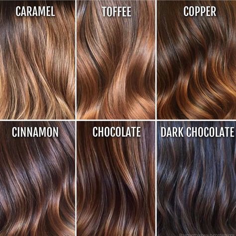 ✨BEST OF BALAYAGE & Hair on Instagram: “Top 20 of 2019! This beautiful FALL color chart had about 5,200 likes BUT 4,950 ppl SAVED it 😱 INSPIRATION in full effect 👌🏼 by…” Different Shades Of Brown Hair, Shades Of Brown Hair, Brown Hair With Caramel, Dark Chocolate Hair Color, Dark Chocolate Hair, Different Shades Of Brown, Brunette Medium, Chocolate Brown Hair Color, Hair Color Chocolate