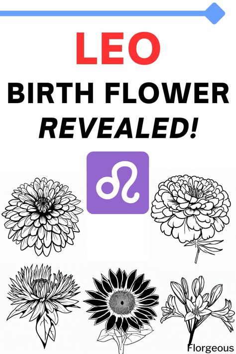 Leo Birth Flower Leo Zodiac Flower Tattoo, Leo Flower Tattoo Zodiac Signs, Leo Zodiac Flower, Leo Flower Tattoo, Leo Birth Flower, Leo Flower, Leo Symbol Tattoos, Leo Symbol, Leo And Taurus