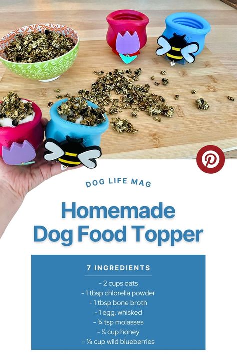 dog-food-topper-recipe-pin - doglifemag.com Benefits Of Chlorella, Dog Food Toppers, Spoon Cookies, Medication For Dogs, Dog Treats Homemade Recipes, Food Topper, Wild Blueberries, Homemade Dog Food, Homemade Treats