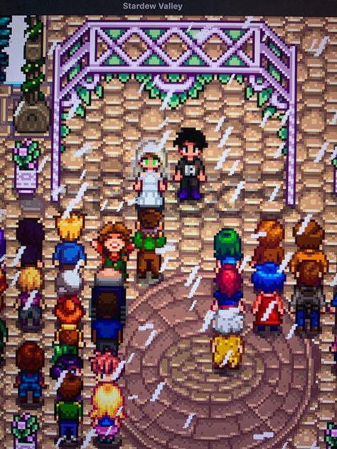 Stardew Valley Wedding, Valley Wedding, Stardew Valley