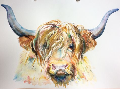 Highland cow watercolour painting . By Emma Underwood. Highland Cow Watercolour, Highland Cow Painting, Highland Cow Art, Cow Pictures, Cowgirl Art, Highland Cattle, Cow Painting, Cowboy Art, Cow Art