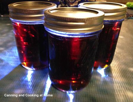 Root Beer Jelly - Try other sad flavors as well Root Beer Jelly, Beer Jelly Recipe, Canning Soups, Beer Jelly, Making Jelly, How To Make Jelly, A&w Root Beer, Edible Wild Plants, Cooking At Home