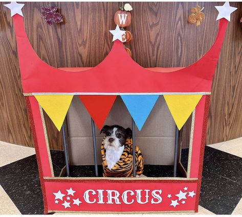 Dog Halloween costume circus Dog Costume Halloween, Circus Dog, Costumes 2023, Dog Halloween Costume, Circus Costume, Dog Halloween Costumes, Dog Costumes, Dog Costume, Dog Halloween