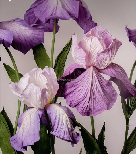 Giant Artificial Flowers, Iris Paper Flower, Giant Silk Flowers Diy, Crepe Paper Iris, Giant Crepe Flowers, Giant Foam Flowers Diy, Giant Crepe Paper Flowers, Eva Foam Flowers, Paper Iris