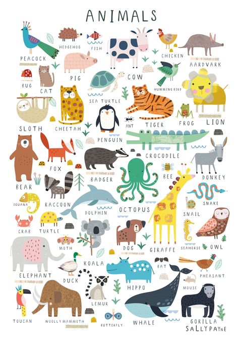 Sally Payne, Zoo Theme, Animal Illustration Art, Cute Animal Illustration, Childrens Wall Art, Nursery Playroom, Alphabet Poster, Writing Center, Animal Posters