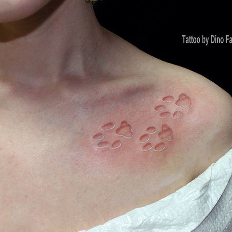 #art #colortattoos #artist #tattoo #tattooed #tattooer #tattooing #denvertattoos #tattooartist #illustration #denver #colorado… Kitty Paws Tattoo, Pawprint Tattoos, Tattoo Cat Paw, Paws Tattoo, Cat Paw Tattoos, Tatoo Dog, Black Light Tattoo, Sick Tattoos, Kitty Paws