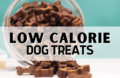 10+ Low Calorie Dog Treats Low Calorie Dog Treat Recipes, Low Calorie Dog Treats, Low Fat Dog Treats, Fat Dogs, Dog Training Treats, Pumpkin Dog Treats, Easy Dog Treats, Dog Nutrition, Training Treats