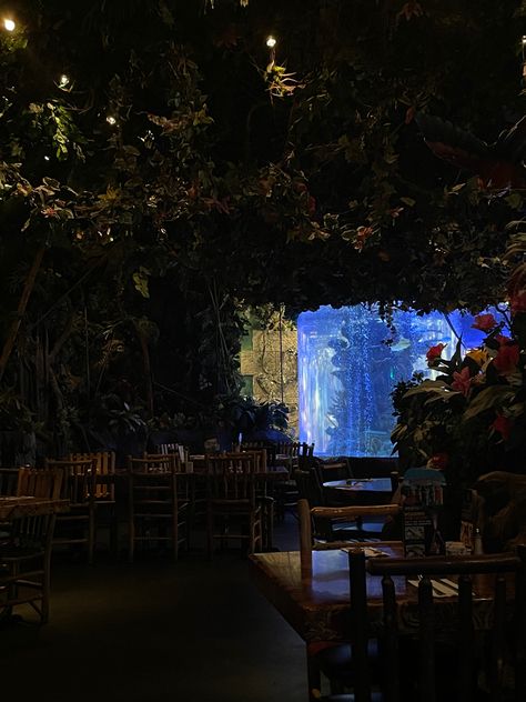 Rainforest Cafe Aesthetic, Ali Core, Jungle Junction, Rainforest Cafe, Cafe Aesthetic, House In Nature, Bat Mitzvah, Kids Activities, Theme Park