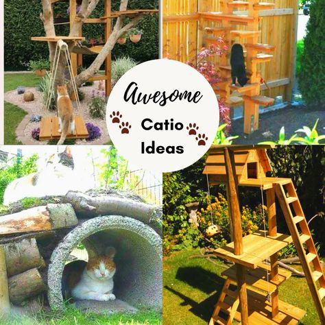 Outdoor Cat Playground Play Areas - HubPages Aesthetic Cat House, Catio Ideas Cat, Cat Proof Balcony, Outdoor Cat Tree, Cat Play Area, Catio Ideas, Diy Cat Enclosure, Katt Diy, Cat Playground Outdoor