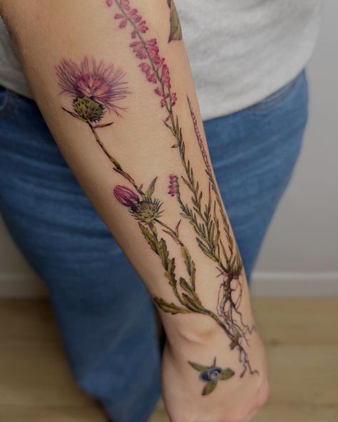 tattoo will bloom ☾ | ✿ܓ - heather - blackberry - bilberry - thistle flower ...................................................... #flora_addict #tattoo… | Instagram Borage Tattoo, Blackberries Tattoo, Heather Flower Tattoo, Heather Tattoo, Thistle Flower Tattoo, Thistle Tattoo, Heather Flower, New Tattoo Designs, Tattoo Instagram