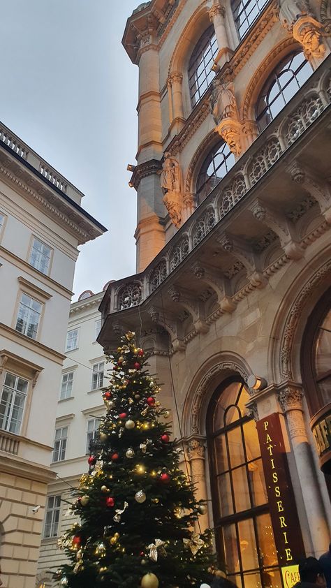 Vienna Holiday, Winter Season Aesthetic, Wien Aesthetic, Vienna Winter, Vienna Trip, Rich Christmas, Aesthetic Tree, Vienna Austria Travel, Vienna Waits For You