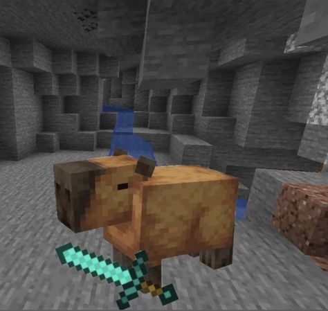 Capybara Pet, Games Minecraft, Cute Small Animals, Therapy Animals, We Are Best Friends, Silly Animals, Rodents, Minecraft Houses, Spirit Animal