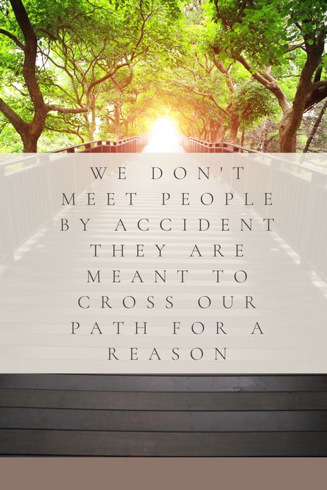 People Come Into Your Life For A Reason, Family Support Quotes, Support Quotes, Our Path, Family Support, Positive Outlook, For A Reason, A Blessing, Meeting People