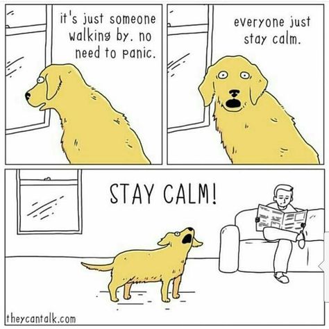 Stay calm! By @funny.web.comics #calm #staycalm #comics #design #illustrations #illustrate #dogs #dogsofinstagram Liz Climo Comics, Dog Comics, What Cat, Stay Calm, Memes Humor, Dog Memes, Best Funny Pictures, Comic Strip, Funny Comics