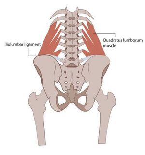 Myofascial Pain Syndrome, Chronic Lower Back Pain, Musculoskeletal Pain, Musculoskeletal System, Muscle Spasms, Relieve Back Pain, Body Posture, Trigger Points, Muscle Tension