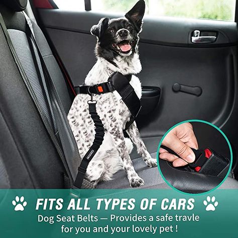 3 Pc Set Retractable Seatbelts Adjustable Seat Belt Nylon Pet Hvy Duty Elastic Car Harness for Dogs Dog Car Harness, Dog Car Seat Belt, Car Harness, Dog Seat Belt, Dog Seat, Pet Car Seat, Dog Car Seats, Dog Safety, Pet Car