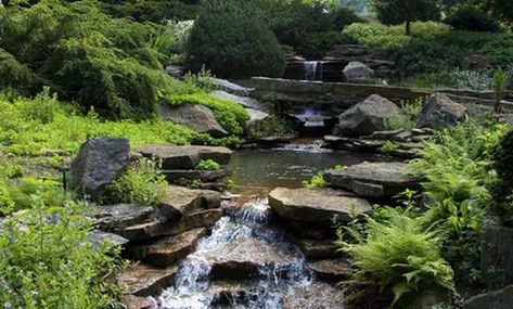 If you have a creek running through your backyard, you can use landscaping to make it one of the central features of the yard. When choosing plants to position around the creek,... Backyard Creek, Landscaping Ideas For Backyard, Backyard Stream, Fishing Pond, Building A Pond, Ideas For Backyard, Fountains Backyard, Koi Ponds, Pond Ideas