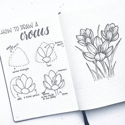 Want to learn to create stunning and beautiful flower doodles for your bullet journal layouts? Learn these amazing doodle flower patterns and tutorials that are very simple. These pretty, step-by-step botanical doodles will have you looking like a bullet journal artist! #bulletjournal #flowerdoodles #doodles #howtodraw #bujo Hur Man Ritar Blommor, Easy Flower Drawings, Botanical Line Drawing, Drawing Hands, Flower Drawing Tutorials, Flowers Drawing, Easy Flower, Drawing Faces, Floral Drawing