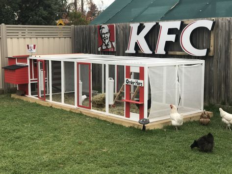 KFC Chicken Coop Kfc Chicken Coop Ideas, Kfc Chicken Coop, Quail House, Farm Market Ideas, Chicken Brooder, Chicken Home, Kfc Chicken, Chicken Owner, Backyard Chicken Coop Plans