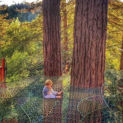 Tree Net Hammock, Tree Netting Hammock, Tree House Nets, Treehouse Between Two Trees, Tree House Without A Tree, Rope Tree House, Tree Net Hangout, Diy Tree Net, Tree Fort Ideas