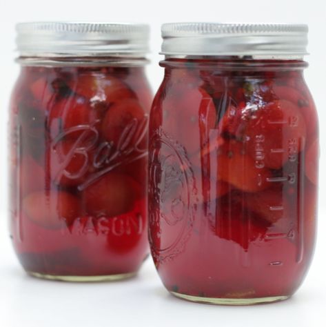 pickled plums Pickled Plums Recipe, Pickled Plums, Bistro Restaurant, Pickled Eggs, Pickled Beets, Jam And Jelly, Ice Chest, Pickling Recipes, Old Recipes