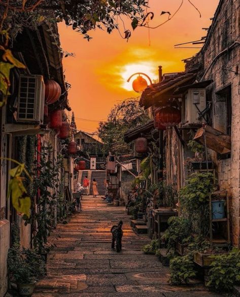 Shaoxing / China (by jugland_z). - It's a beautiful world Hohenzollern Castle, Castle Germany, Travel China, Visit China, What A Beautiful World, Germany Castles, Blue Hour, Packing Tips For Travel, Travel Packing