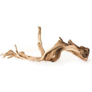 Bring visual interest to your terrarium, aquarium or aviary with these Galapagos Staghorn Wood Manzanita Roots. Manzanita is compatible with freshwater aquariums as well as woodland, arid or tropical terrariums. Nocturnal and smaller fish especially love the secure feel of the hiding places provided by the wood. You can choose your own adventure by attaching hardware (sold separately) to the branches to create perches in an aviary or a freshwater aquascape in any configuration you desire. Tropical Terrariums, Photography Backdrops Diy, Driftwood Furniture, Indoor Water Garden, Aquarium Terrarium, Event Centerpiece, Perfume Photography, Wood Branch, Stick Photo