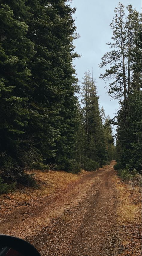 Rural Oregon, Pnw Vibes, Oregon Town, Oregon Aesthetic, Catherine Cowles, Eaten Alive, Sunflower Girl, Gods Country, Romantic Life