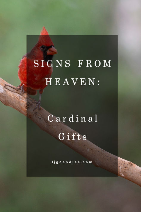 A collection of Cardinal gifts in remembrance of loved ones in Heaven. Cardinals are commonly considered a sign from Heaven and this collection of ornaments, keychains, and decor are the perfect memorials. Cardinal Meaning Quote, Cardinal Sayings Quotes Heavens, When Cardinals Appear Loved Ones Are Near, Cardinal Memorial Gift, As I Sit In Heaven Poem Cardinal, Personalized Memorial Candles, Unique Sympathy Gifts, Signs From Heaven, Messages From Heaven