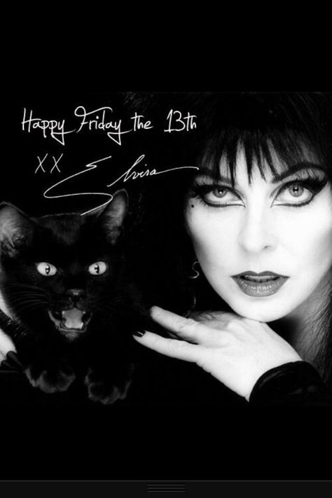 Happy Friday the 13th A Black Cat, Look On, A Black, Black Cat, A Woman, Black