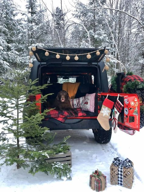 Winter Jeep Photoshoot, Jeep Fall Pictures, Jeep Christmas Pictures, Jeep Wrangler Christmas Decorations, Christmas Jeep Decorations, Decorate Jeep For Christmas, Jeep Christmas Decorations, Jeep Wrangler Christmas, Christmas Car Decor