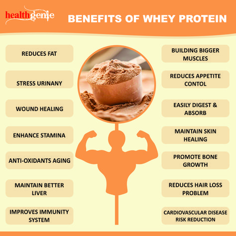 #Whey #protein is not only for building body #muscles but also gives many other amazing #benefits..  #WheyProtein #healthcare #healthy #nutrition #growth_muscles #gym #exercise #bodybuilding #fitness #HealthyLifyStyle #vegan #supplements Whey Protein Benefits, Whey Protein Recipes, Protein Benefits, Gold Standard Whey, Pre Workout Protein, Body Muscles, Vegan Supplements, Best Protein Powder, Reduce Appetite