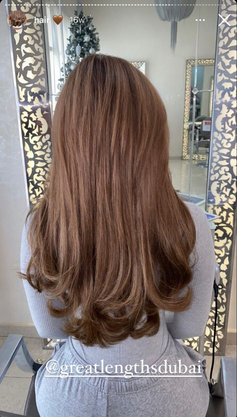 Light Brown Hair With Caramel Highlights Balayage, Caramel Brown Hair Aesthetic, Caramel Brown Hair Straight, Brown Golden Hair Color, Hazelnut Light Brown Hair, Blonde To Chestnut Brown Hair, Straight Blow Dry Long Hair, Chestnut Blonde Hair Color, Blowdry Straight Hair