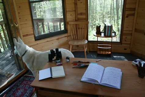 Neil Gaiman's Writing Shed Interior Writing Shed, Writers Retreat, The Graveyard Book, Writing Studio, Writing Room, Famous Writers, Norman Mailer, Shed Interior, Friday Fun