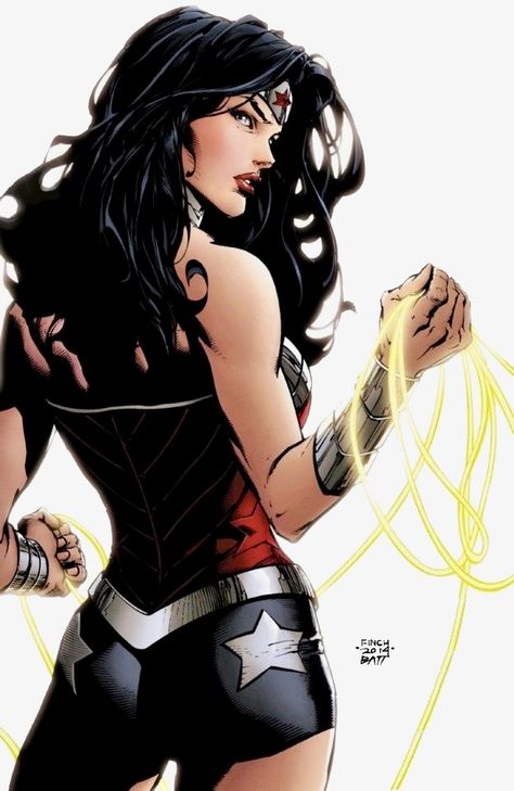 #dc #dccomics #wonderwoman David Finch, Mike Deodato, Marvel Heroines, Wonder Woman Art, Female Hero, Movie Posters Design, Fabric Wall Art, Crafts With Pictures, Picture Hanging