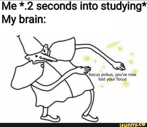 School Memes, 웃긴 사진, Crazy Funny Memes, Memes Humor, My Brain, Some Funny Jokes, Really Funny Pictures, Really Funny Memes, Funny Pics