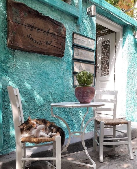 Time for a nap Aegina island - Greece Parc D'attraction, Visiting Greece, Adventure Photography, Travel Instagram, Summer Dream, Street Photo, Greece Travel, Greek Islands, Cat Life